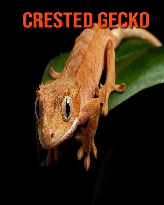 Book cover for Crested Gecko