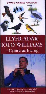 Book cover for Llyfr Adar Lolo Williams