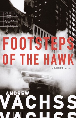 Book cover for Footsteps of the Hawk