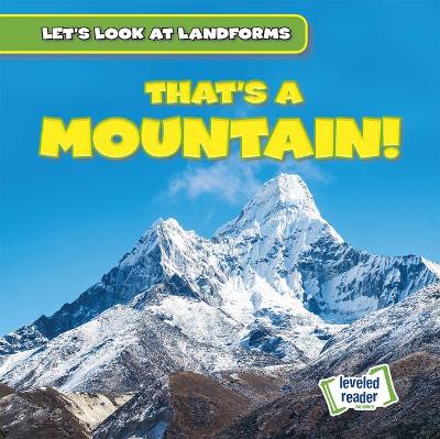 Book cover for That's a Mountain!