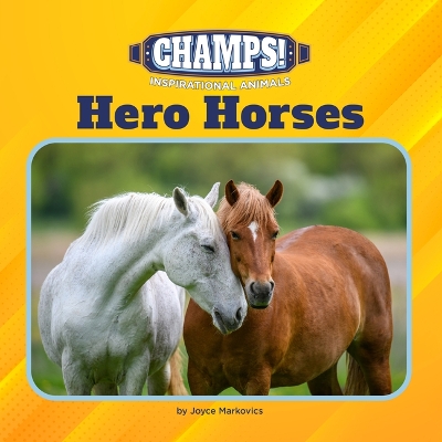Book cover for Hero Horses