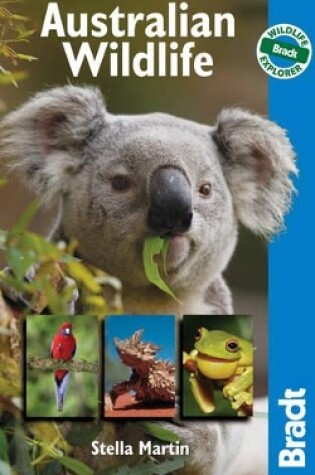 Cover of Australian Wildlife