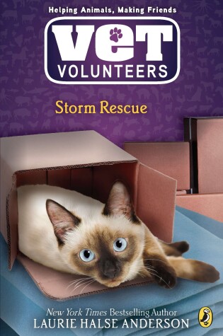 Cover of Storm Rescue