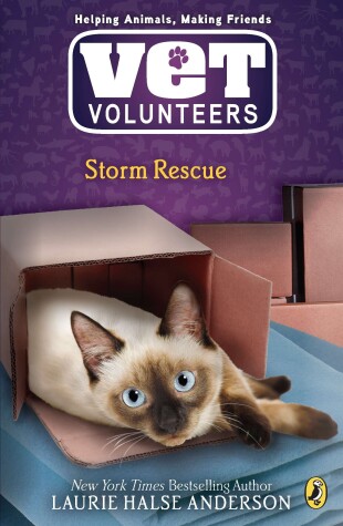 Book cover for Storm Rescue