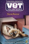 Book cover for Storm Rescue