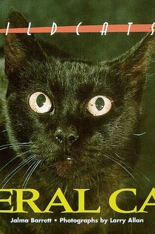Cover of Feral Cat