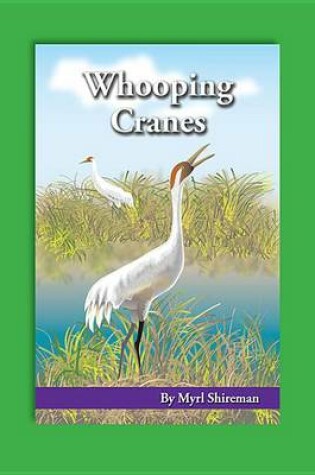 Cover of Whooping Cranes