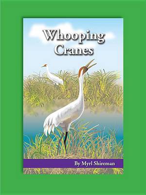 Book cover for Whooping Cranes