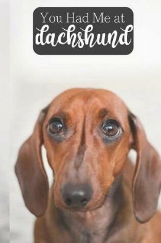 Cover of You Had Me At Dachshund