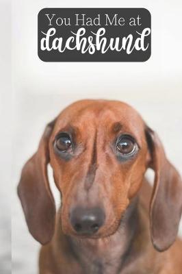 Book cover for You Had Me At Dachshund