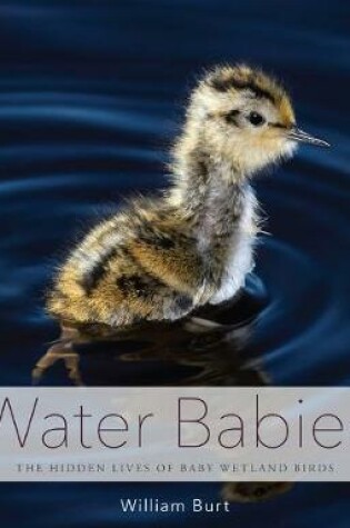 Cover of Water Babies