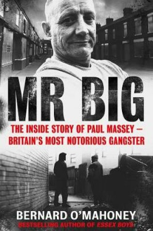 Cover of Mr Big