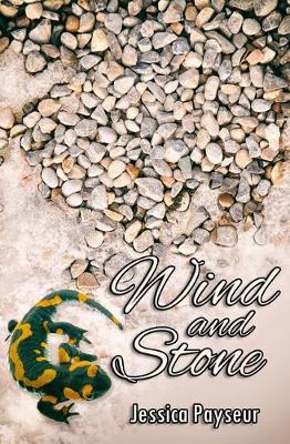 Book cover for Wind and Stone