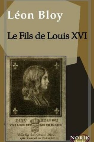 Cover of Le Fils de Louis XVI