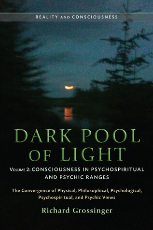 Cover of Dark Pool Of Light, Volume Two