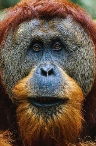 Cover of Orangutan Journal