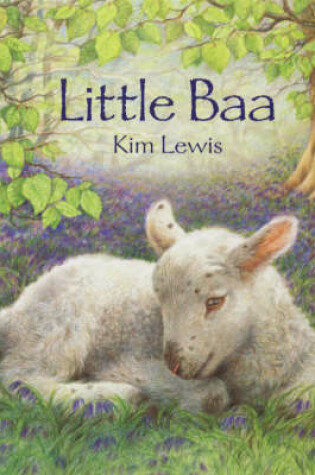 Cover of Little Baa Board Book