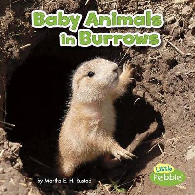 Cover of Baby Animals in Burrows
