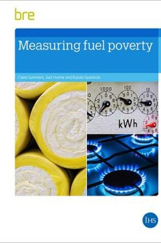 Cover of Measuring Fuel Poverty