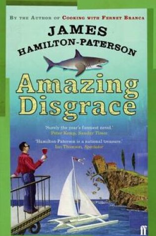 Cover of Amazing Disgrace