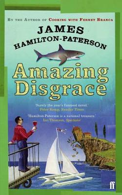 Book cover for Amazing Disgrace