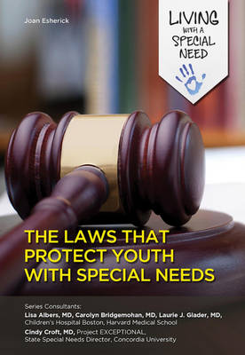 Book cover for The Laws That Protect Youth with Special Needs