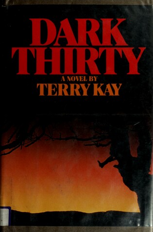 Cover of Dark Thirty