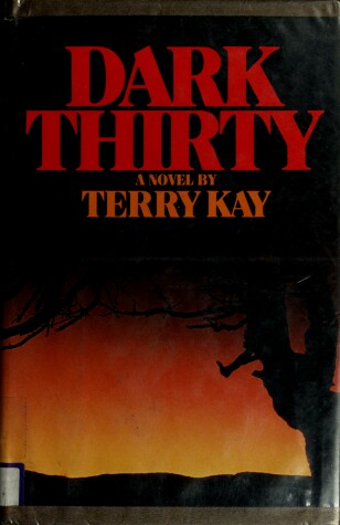 Book cover for Dark Thirty