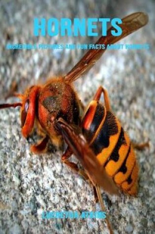 Cover of Hornets