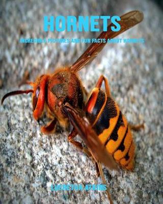 Book cover for Hornets