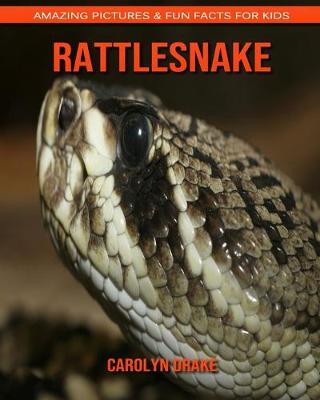 Book cover for Rattlesnake