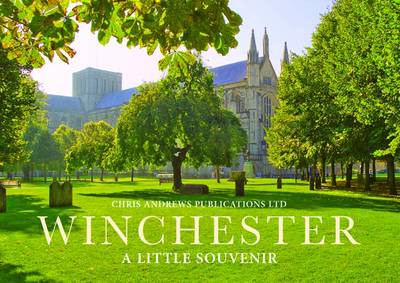 Book cover for Winchester
