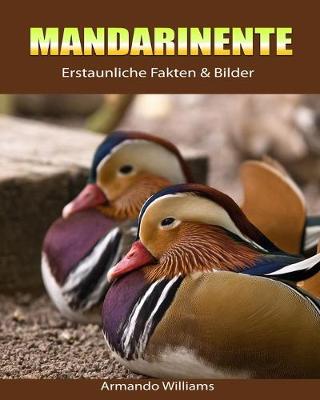 Book cover for Mandarinente