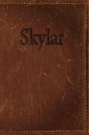 Cover of Skylar