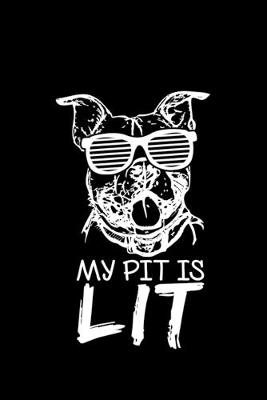 Book cover for My Pit Is Lit