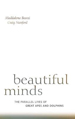 Book cover for Beautiful Minds