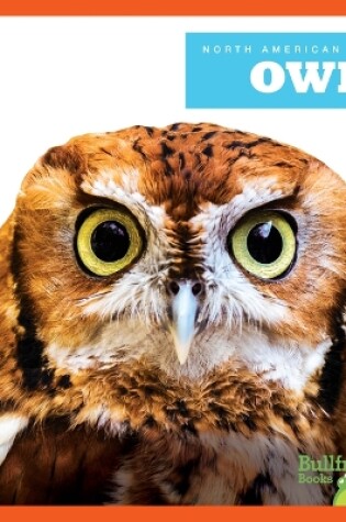 Cover of Owls