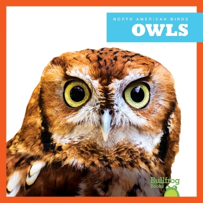 Cover of Owls