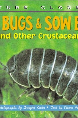 Cover of Pill Bugs & Sow Bugs and Other Crustaceans