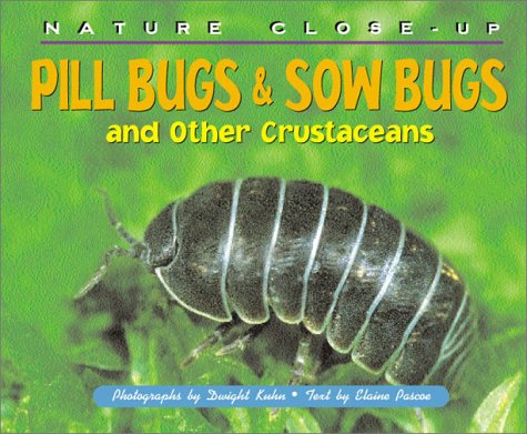 Book cover for Pill Bugs & Sow Bugs and Other Crustaceans