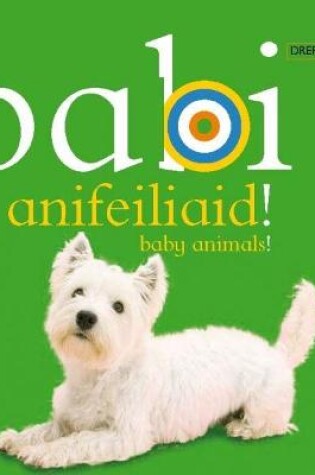 Cover of Babi Anifeiliaid!/Baby Animals!