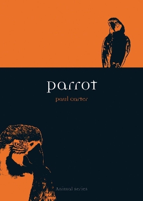 Book cover for Parrot