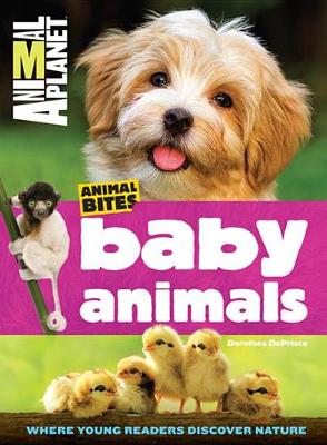 Cover of Baby Animals (Animal Planet Animal Bites)