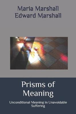 Book cover for Prisms of Meaning