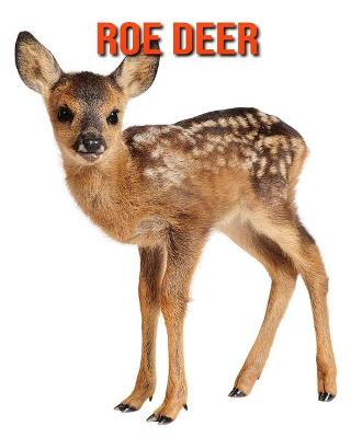 Cover of Roe Deer