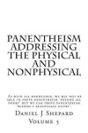 Book cover for Panentheism Addressing the Physical and nonPhysical