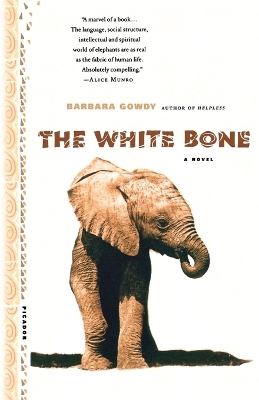 Book cover for The White Bone