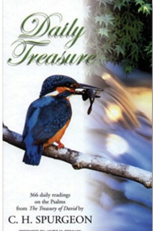 Cover of Daily Treasure