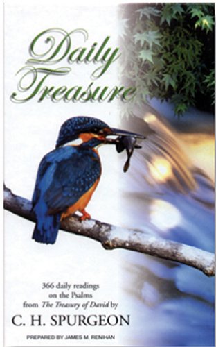 Book cover for Daily Treasure