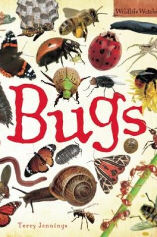 Cover of Bugs